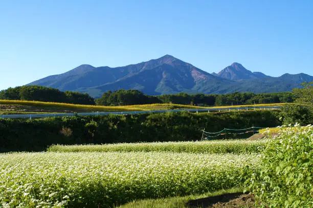 SORA HOUSEの周りの景色